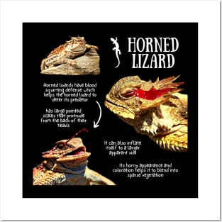 Horned Lizard Fun Facts Posters and Art